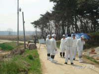 평택 AI 의심신고 석정리마을