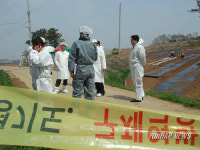 평택 AI 의심신고 석정리마을