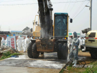 평택 AI 발생농장 살처분