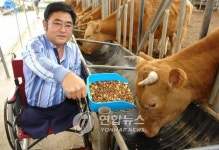 <사람들> 두다리 잃고 한우로 재기한 김용국씨