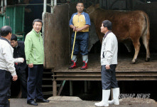 손학규 대표 축산물공판장 방문