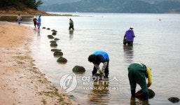 거제 해수욕장에서 조개캐기 체험하세요