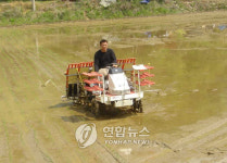  진주지역 첫 모내기