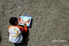 아름다운 금강산을 화폭에