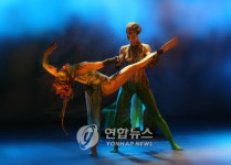 폴란드 아트컬러발레팀 내한공연