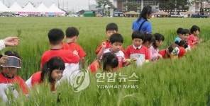 군산 꽁당보리축제 8일 개막
