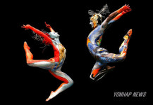 폴란드 아트컬러발레팀 내한공연