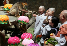 너는 손오공, 나는 삼장법사