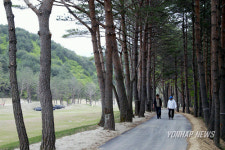 태백 서학CC 멋지죠?