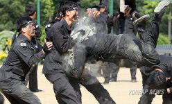 육군 제1179부대 (특수임무대) | 육군 헌병 특수임무대 대테러 및 재난 구조작전 시범