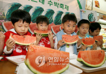 충남 연기서 31일 `맛찬동이 수박축제