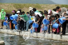김해 대포천에 흙공+은어 방류