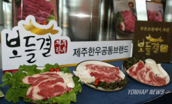 보들결 제주한우 브랜드와 고기