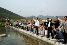 김해 대포천 흙공 투여