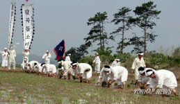 이렇게 모심었습니다