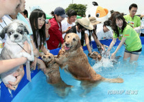 허그독 데이 반려동물과 소풍을