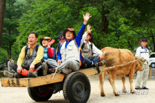 너희가 소달구지 맛을 아냐?