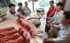 <강원 축산인 한우 살리기 팔 걷었다>