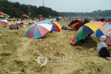 <충남 서천서 모래찜질과 대합 큰 잔치>