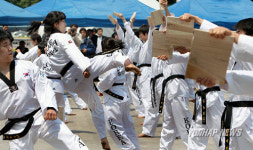 범죄예방국민운동 발족식 태권도 무술 시범