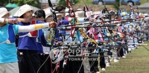 -대통령배양궁- 남녀단체, 비공인 세계타이 양산