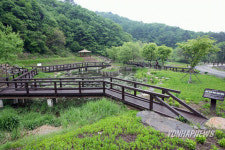 강원도 자연환경 연구공원 개장