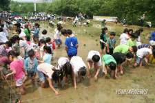 양재천 모심는 날