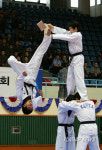 국가대표 태권도 시범단의 격파