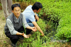 전주 맹꽁이 놀이터 조성 위한 간담회 열려