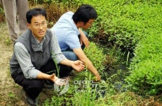 전주 맹꽁이 놀이터 조성 위한 간담회 열려