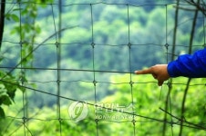 정선 가리왕산 37㎞ 철의장막 철거돼야