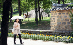 담 허문 대전 둔산선사유적지