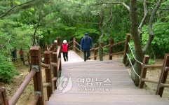 수원 광교산 형제봉 354계단 설치