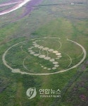 충남 보령에 미스터리 서클(?)