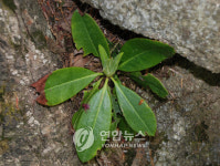 10년만에 인간을 `허락한 지리산 칠선계곡