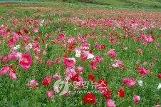 한경대 부속농장 플로랜드