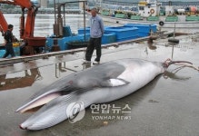 부럽다, 부러워