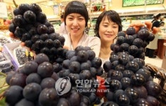 친환경 유기농 포도 맛보세요!