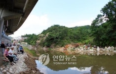 자연형 하천으로 탈바꿈한 홍제천