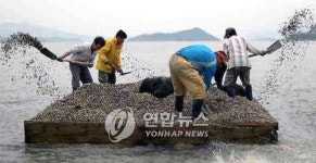 쑥쑥 잘 크거라