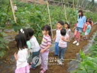 호박등불마을로 오세요