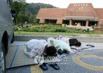 <대관령은 폭염과 열대야 몰라요>