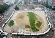 시청 앞 광장 잔디 복원