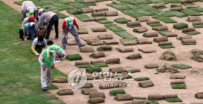 시청 앞 광장 잔디 복원