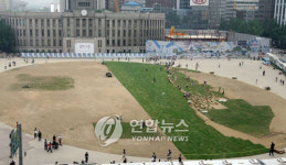 시청 앞 광장 잔디 복원