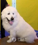 1박2일 상근이, 동화책 주인공으로 등장