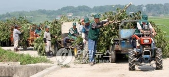 <카메라뉴스> 비료값 상승에 주목 받는 퇴비생산