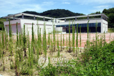 <`건물만 덩그러니.. 방치된 상주 명주박물관>