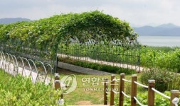 사계절 관광명소 고흥만 방조제의 터널 하우스