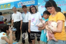 증권선물거래소 복(福)돼지 페스티벌